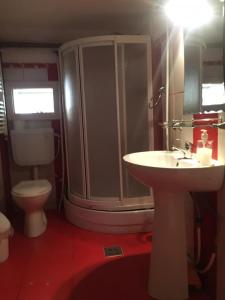 Complex de pensiuni si casute - Lac Bistricioara