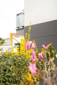 Studio cosy 28 mn aéroport CDG 34 mn chatelet