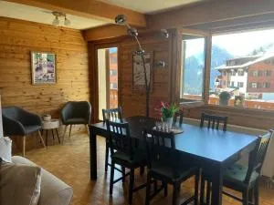 Large central apt with view - Gryon