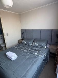 Departamento Santiago