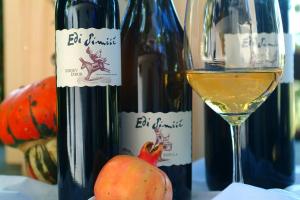 Peaceful Stay Among the Vines 