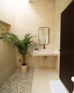 Bikini Bottom Villa Umalas