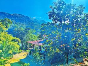Sun City Family Inn