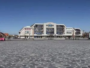 Holiday home in Petten with dunes view - 佩滕