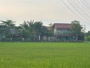 Sol Garden Hoi An