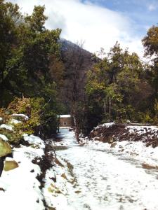 Refugio El Hualo y La Huala del Achibueno