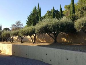 Maisons de vacances Holiday home in Lorgues with swimming pool : photos des chambres