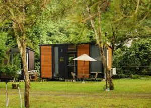 Yiyouguo 2 by Tiny Away - Ch'ing-liu-she