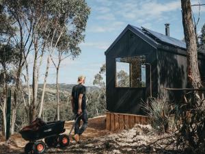 Off-Grid Cabin Deep in Nature - Pet Friendly - Ava