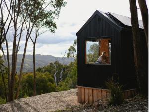 Off-Grid Cabin Deep in Nature - Pet Friendly - Ava