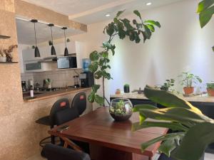 Casa Monstera te espera