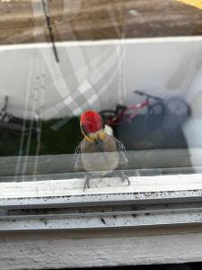 Casa Monstera te espera