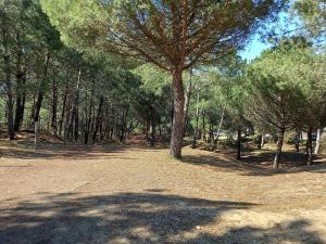 Appartements Appartement renove, lumineux proche plage avec parking - FR-1-306-1299 : photos des chambres