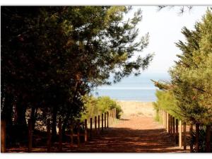 Appartement rénové, lumineux proche plage avec parking - FR-1-306-1299