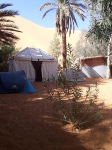 Merzouga activités