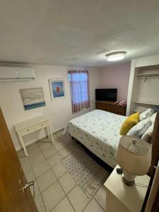 Two-Bedroom Apartment room in Villa Coral Guesthouse
