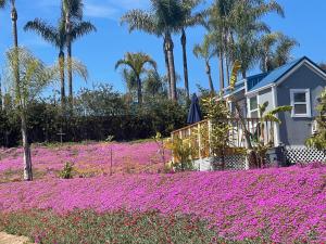 Tiny House on private large property