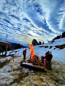 Mud hostel Rajgunda - Koti