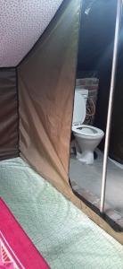 Pine hills nature camp