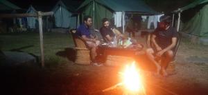 Pine hills nature camp