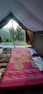 Pine hills nature camp