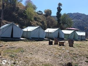 Pine hills nature camp