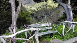 Serra de Água, 9350-306 Ribeira Brava, Madeira, Portugal.