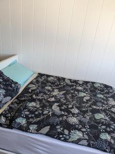 Appartements Charmant petit Studio a Dax : photos des chambres