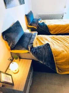 Schwarzwaldhöhen - 诺伊恩比尔格