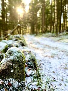Guest house in the countryside