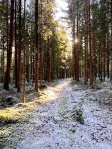 Guest house in the countryside