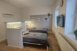 Ganzes Appartement Nähe Zentrum - Ahorn