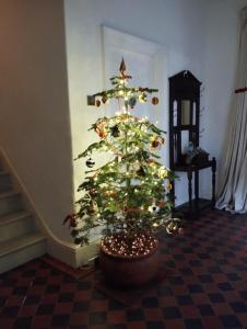 Light Filled, Perfect Location, Old Chapel House