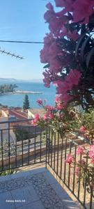 Βίλα Πασιθέα