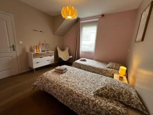 Appartements Maison d'Alice - avec SPA : photos des chambres