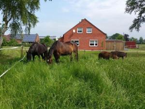 Ferienwohnung Daddeldu