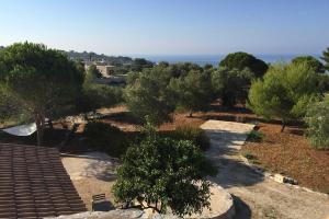 Feudo - Pajara Bracchio 2 by Salento Prime