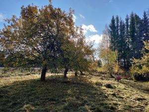 Luukkosenkylän Myllytila