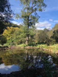 Gîte Ty Coz - piscine - à moins de 30min des plages