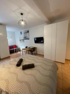AppartVillage Le vieux Vichy centre T1,T2,T3 - Parking - Thermes