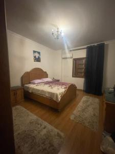 Villa 100 shiekh zayed full house