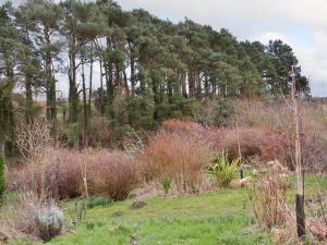 Spindlestone