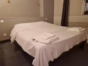 Cithotel Le Phenix Limoges