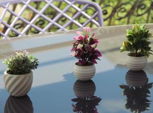 Charming & Cozy Apartment Close to Kotor Old Town