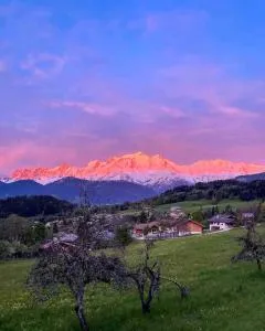 Le Refuge Alpin - 科尔顿