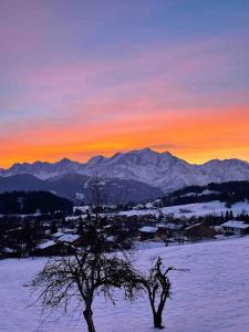 Appartements Le Refuge Alpin : photos des chambres