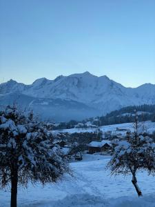 Appartements Le Refuge Alpin : photos des chambres