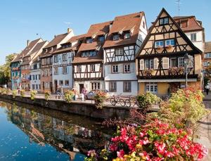 Appartements Flat near Strasbourg : photos des chambres