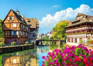 Appartements Flat near Strasbourg : photos des chambres