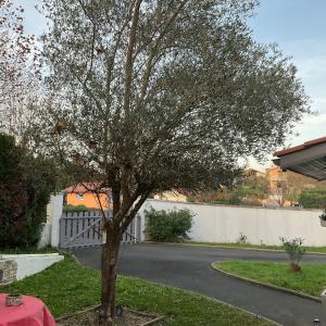 Appartements Landaise 10765902 : photos des chambres